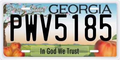 GA license plate PWV5185