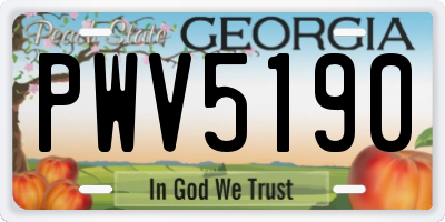 GA license plate PWV5190
