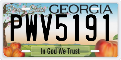 GA license plate PWV5191