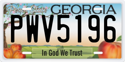 GA license plate PWV5196