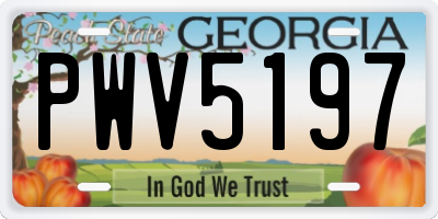 GA license plate PWV5197