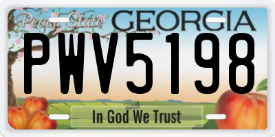 GA license plate PWV5198