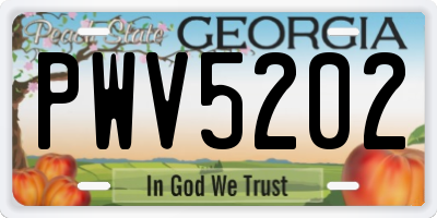 GA license plate PWV5202