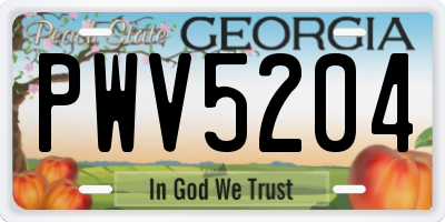 GA license plate PWV5204