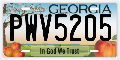 GA license plate PWV5205