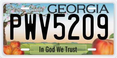 GA license plate PWV5209