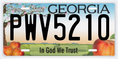 GA license plate PWV5210