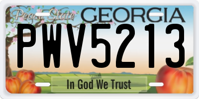 GA license plate PWV5213