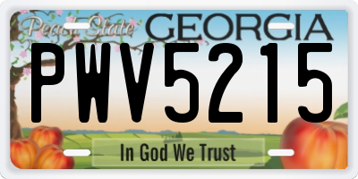 GA license plate PWV5215