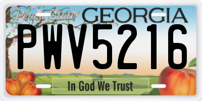 GA license plate PWV5216