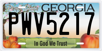 GA license plate PWV5217