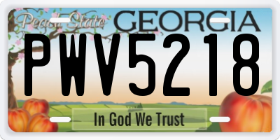 GA license plate PWV5218