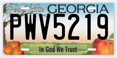 GA license plate PWV5219