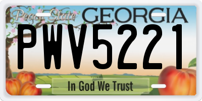 GA license plate PWV5221