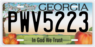 GA license plate PWV5223