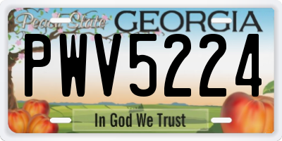GA license plate PWV5224