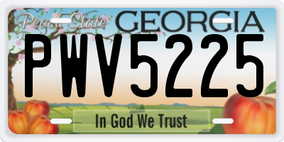 GA license plate PWV5225