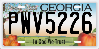GA license plate PWV5226