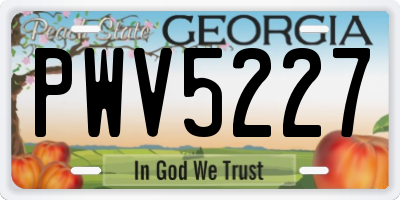 GA license plate PWV5227