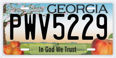 GA license plate PWV5229