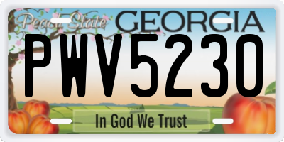 GA license plate PWV5230