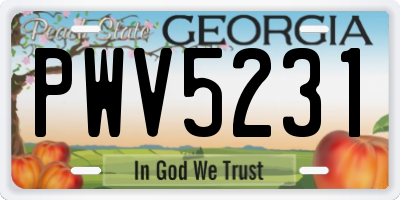 GA license plate PWV5231