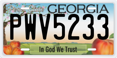 GA license plate PWV5233