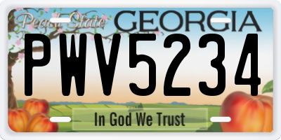 GA license plate PWV5234