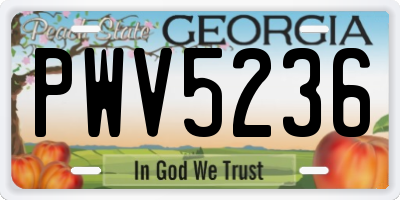 GA license plate PWV5236