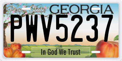 GA license plate PWV5237