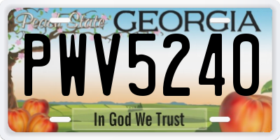 GA license plate PWV5240