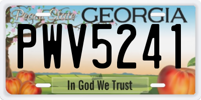 GA license plate PWV5241