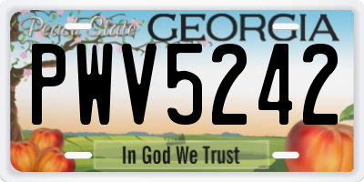 GA license plate PWV5242