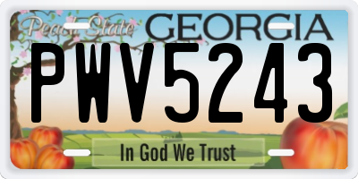 GA license plate PWV5243