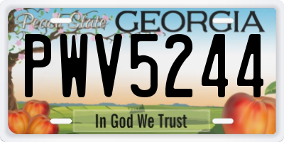 GA license plate PWV5244