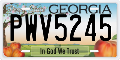 GA license plate PWV5245