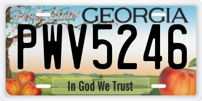 GA license plate PWV5246