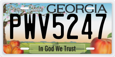 GA license plate PWV5247