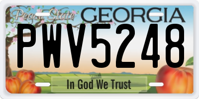 GA license plate PWV5248