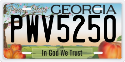 GA license plate PWV5250