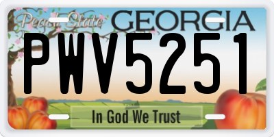 GA license plate PWV5251