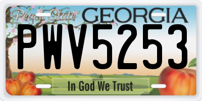 GA license plate PWV5253