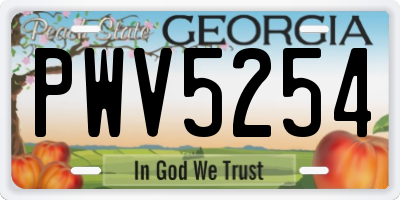 GA license plate PWV5254