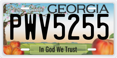 GA license plate PWV5255