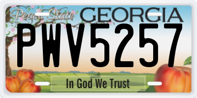GA license plate PWV5257