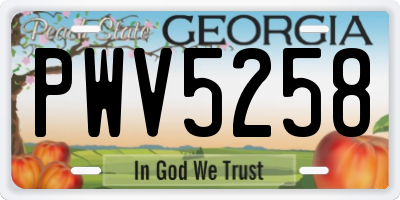 GA license plate PWV5258