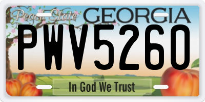 GA license plate PWV5260