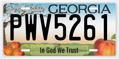 GA license plate PWV5261