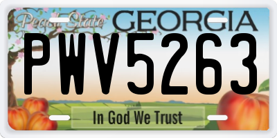 GA license plate PWV5263