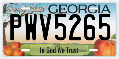 GA license plate PWV5265